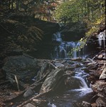 JMutch_Ricketts_Glen_PA