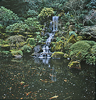Portland Oregon, Japanese Garden