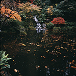 Japanese Garden in Portland, Oregon