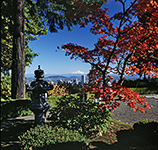 Mt Hood from Portland Japanese Garden