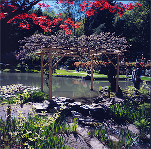 Japanese Garden Seattle