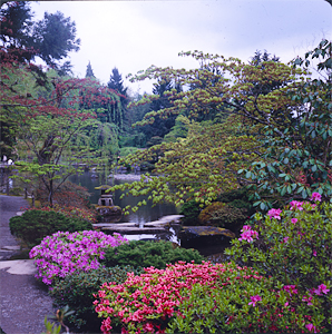 Japanese Garden North Seattle