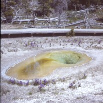 A29 - Belgian Pool - Yellowstone