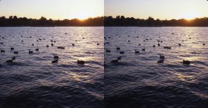PS_29A_Sunset at Lake Balboa_LR-